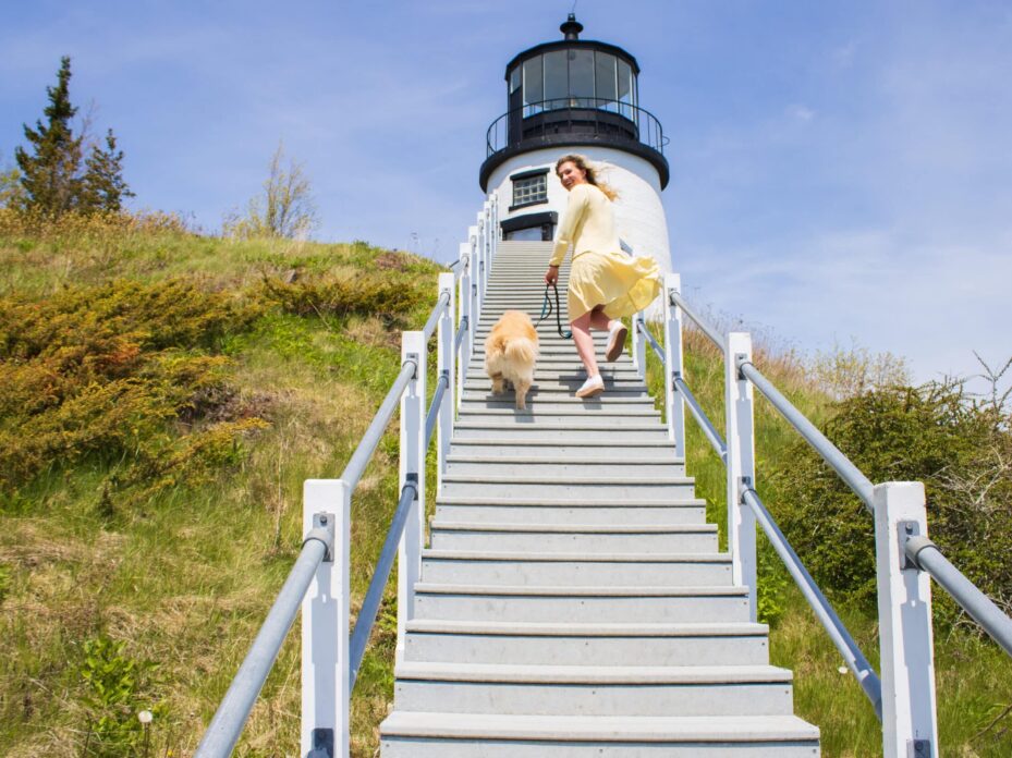 a girl running up the stairs of a steep lighthouse, wearing a yellow dress and holding a golden retriever.